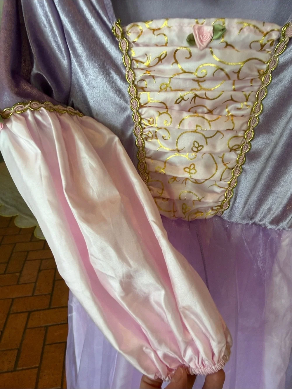 Little Adventures - Girls' Deluxe Rapunzel Dress-Up Costume - Size: 5-7Y